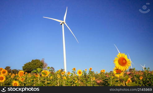 A large white windmill stands in a blooming sunflower field.