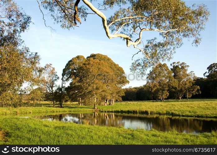 A late afternoon rural scene, near Moss Vale, New South Wales, Australia