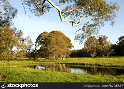 A late afternoon rural scene, near Moss Vale, New South Wales, Australia