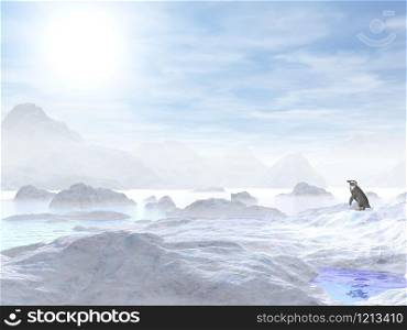 A little penguin standing in the middle of icebergs and looking at the sun