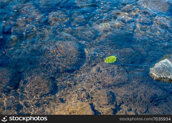 A lone green leaf floats in a river.