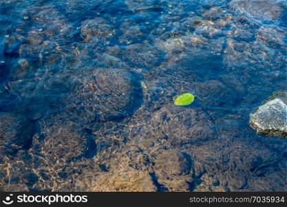 A lone green leaf floats in a river.
