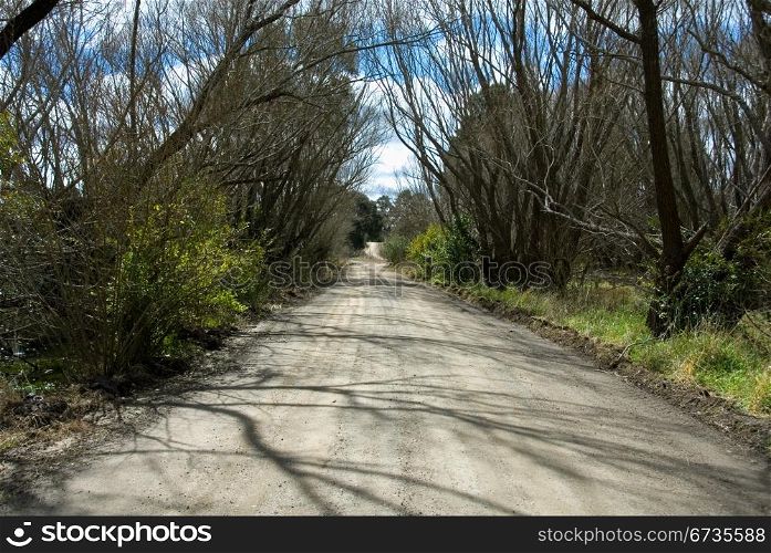 A lonely country road near Moss Vale, New South Wales, Australia