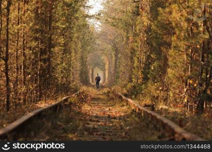 A lonely man walking through the tunnel of love. Autumn. A lonely man walking through the tunnel of love. Autumn.
