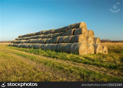 A long pile of hay bales at a dirt road, autumn day