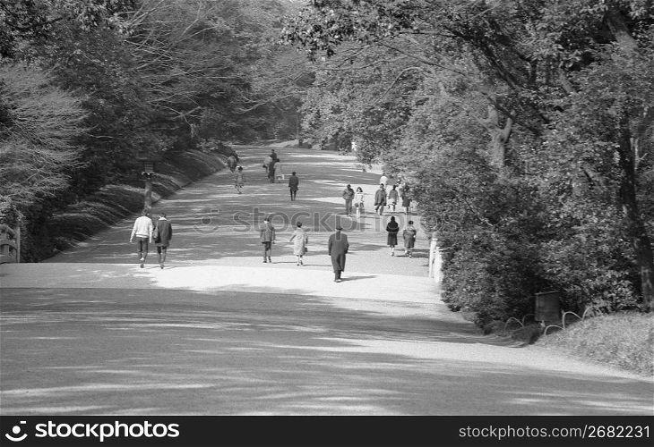 a long view of people on a pathway
