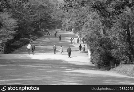 a long view of people on a pathway
