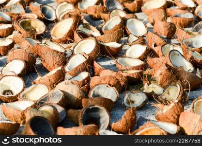A lot of coconut meat and coconut shell on white concrete for natural drying. Tropical fruit cooking ingredient. Summer season, sunny day. Koh Mak Island, Eastern Thailand. Background, Texture.