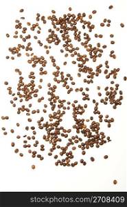a lot of coffee beans on white. a lot of coffee beans isolated on white background