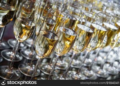 a lot of glasses with champagne stand in a row. glasses with champagne closeup. wine glass with champagne