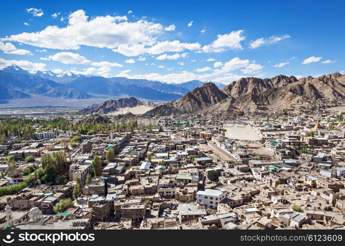 A lot of local houses in the himalayan desert, Leh