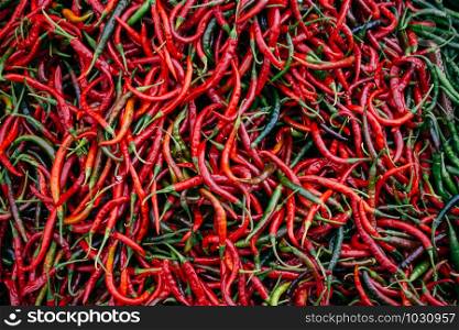 A Lot of Red Chilli Peppers found as food background