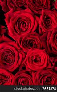 A lot of red roses background, Valentines day gift concept. Red roses background