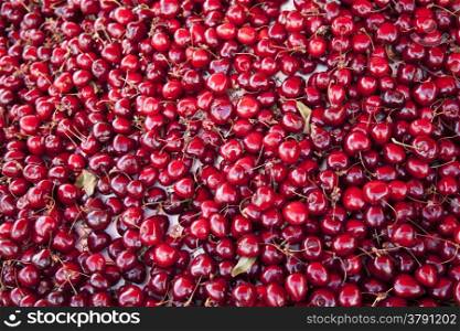 a lot of red shiny cherries