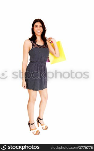 A lovely young woman in a grey dress carrying some shopping bag&rsquo;sisolate for white background.