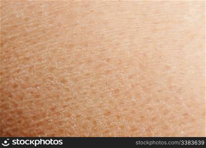 A macro detail background of dry skin