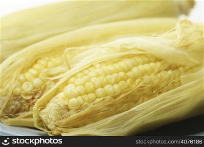 A macro shot of delicious sweet yellow corn