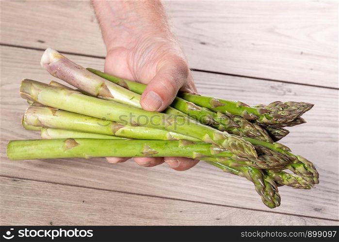 a man hand holding a bunch of fresh asparagus