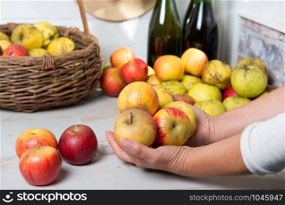 a man holding the beautiful apples of Normandy