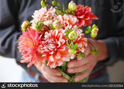 A man holds a bunch of fresh coral and white-colored dahlias. Dahlia bouquet held by man