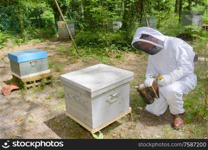 a man kneeling beside beehive