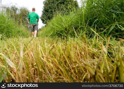 A man mowing his very thick grass.