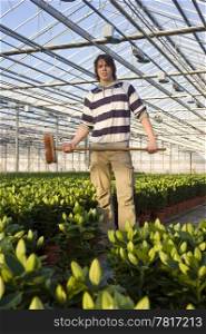 A man posing with a broom in his hand in a huge glasshouse