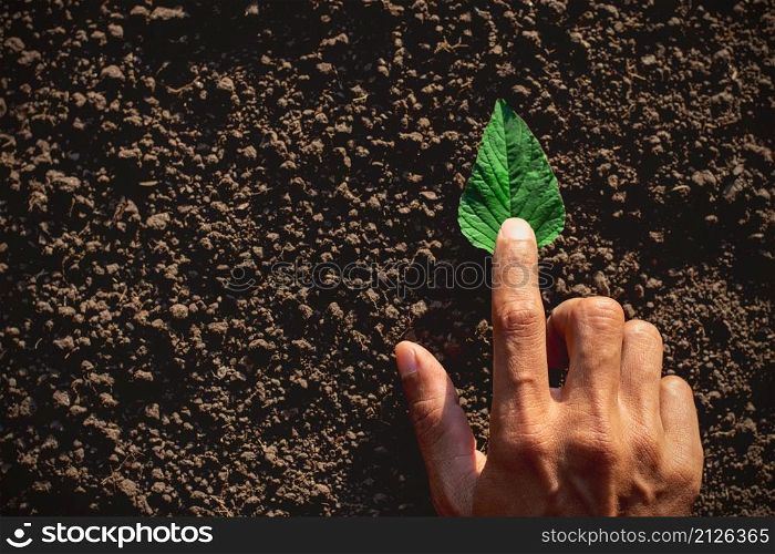 a man&rsquo;s hand touching a green leaf lying on the ground, ecology concept.