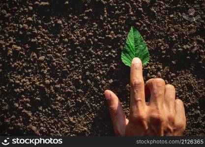 a man&rsquo;s hand touching a green leaf lying on the ground, ecology concept.
