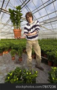A man, standing inside a huge greenhouse, showing a plant
