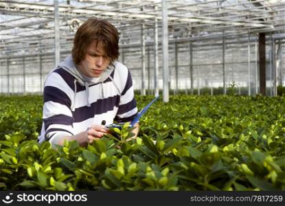 A man, surrounded by plants, checking the bulbs