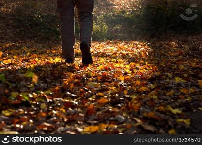 A man walking through the countryside in autumn time