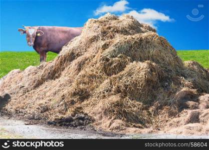 A manure pile on a farm in the background a wall of bricks.