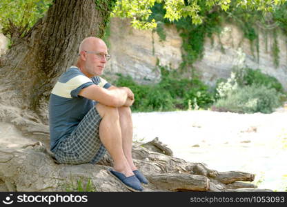 a mature bald man sitting under a tree in the countryside