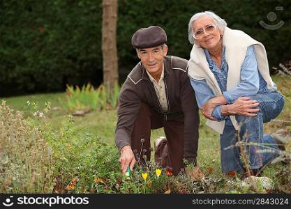 a mature couple gardening