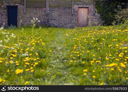 A meadow with a path leading to a wall with two rustic doors