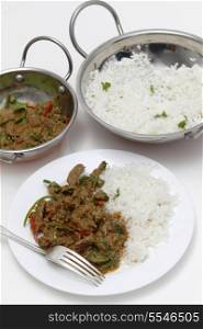 A meal of spiced lamb curry with coriander leaves and slivers of red and green chillies, served with plain boiled rice, high angle view