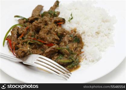 A meal of spiced lamb curry with coriander leaves and slivers of red and green chillies, served with plain boiled rice, close-up with fork