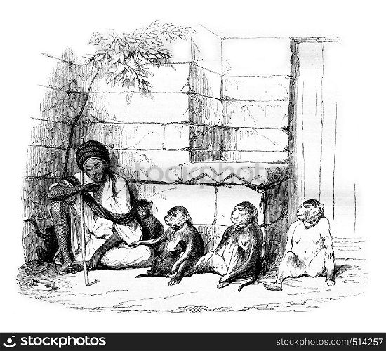 A Merchant of monkeys in Cairo, vintage engraved illustration. Magasin Pittoresque 1844.