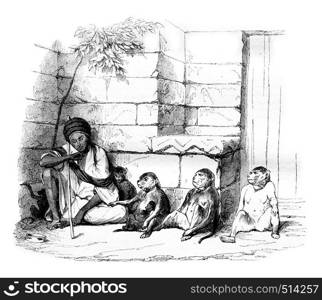 A Merchant of monkeys in Cairo, vintage engraved illustration. Magasin Pittoresque 1844.