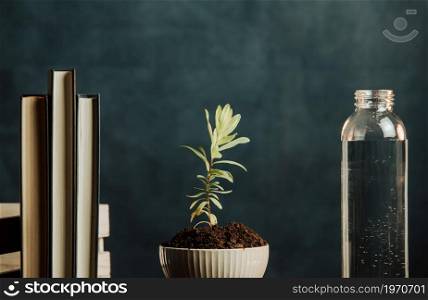 A minimalist shot of a plant growing in a pot with water and books surrounding, concept relax with copy space