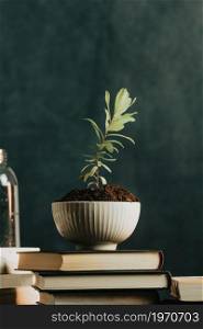 A minimalist shot of a plant growing in a pot with water and books surrounding, concept relax with copy space