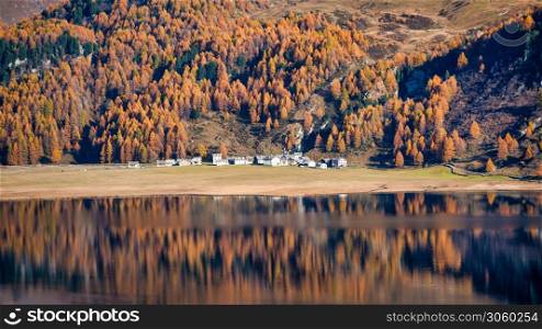 A mirror of autumn plants of a mountain lake village