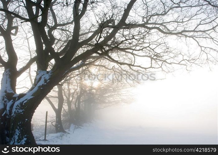 A misty dawn seen over a snow covered field