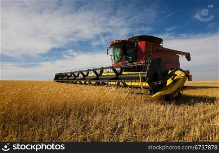 A modern combine harvester working on a wheat crop