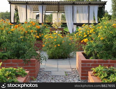 A modern vegetable garden with raised briks beds . Raised beds gardening in an urban garden .. A modern vegetable garden with raised briks beds . Raised beds gardening in an urban garden