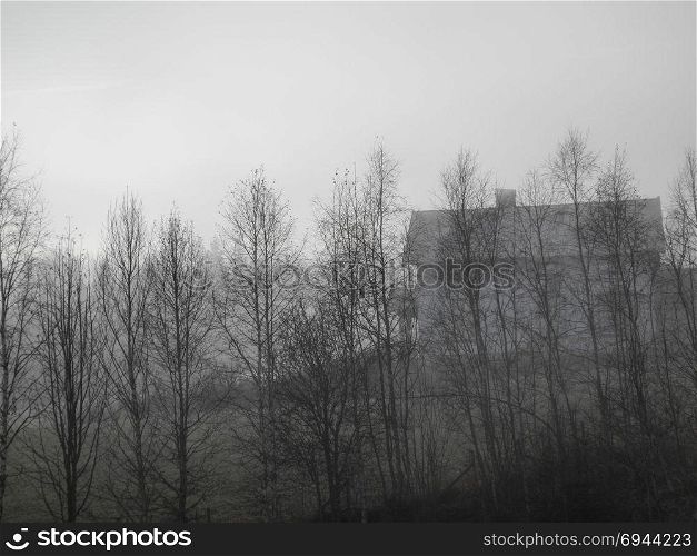 A mystic house with scary atmosphere. Background copyspace.. Spooky house with trees and fog