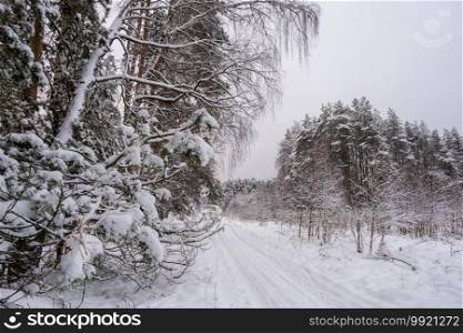 A narrow forest road in a winter forest covered with snow on a cloudy day.