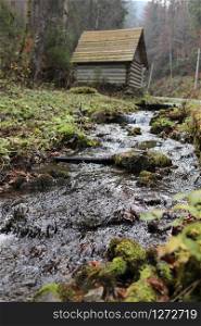 a narrow wild mountain river flows in the forest. lonely turists wooden old house in autumn cloudy forest. selective focus on river.. a narrow wild mountain river flows in the forest. lonely turists wooden old house in autumn cloudy forest. selective focus on river