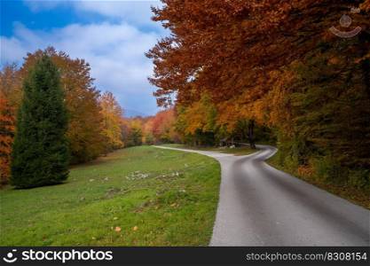 A narrow winding road leads through scenic and vibrant colorful autumn forest